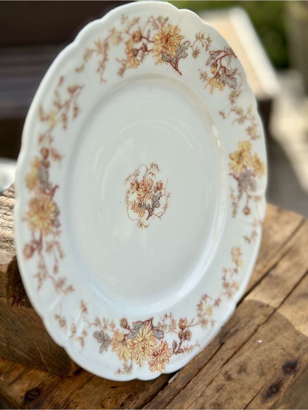Vintage Haviland Limoges France Floral Plate 8 1 2 Inch Scalloped Edge